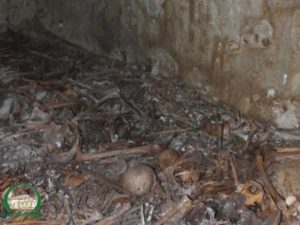 A picture by the al-Aqsa Foundation shows skeletons buried in a mass grave.