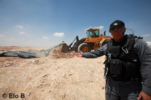 Al-Araqib, an unrecognized village of the Al-Turi Arab Bedouin tribe (8 km north of Beersheba), being demolished for the 54th time in August 2013. (Photo: Eloise Bollack)