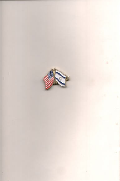 AIPAC lapel pin