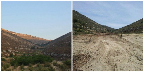 Valkley before and after destruction of trees, from Daoud Nassar