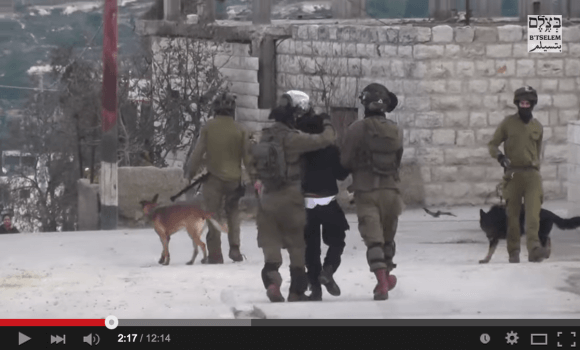 Screenshot: B'tselem video "The army continues to use dogs to attack Palestinian civilians" by Mohammed Awad