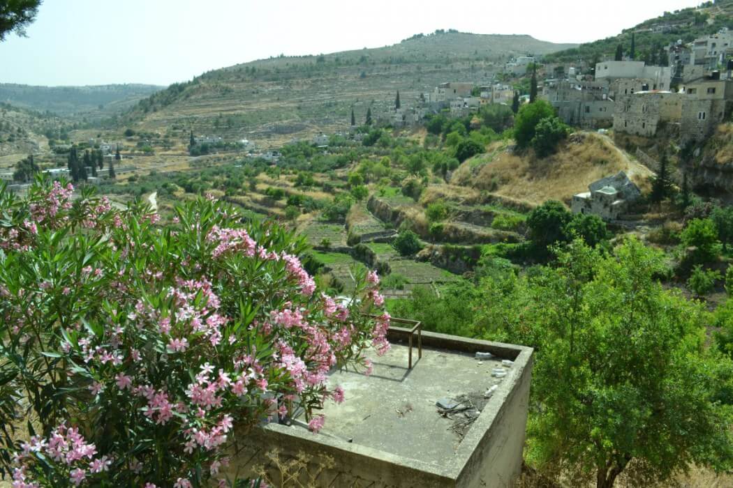 The terraces of Battir. (Photo: David Kattenburg)