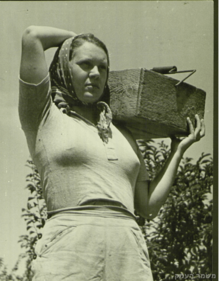 At Work 1950 in a kibbutz vineyard. (Photo: Kibbutz Mishmar Haemek Archive)