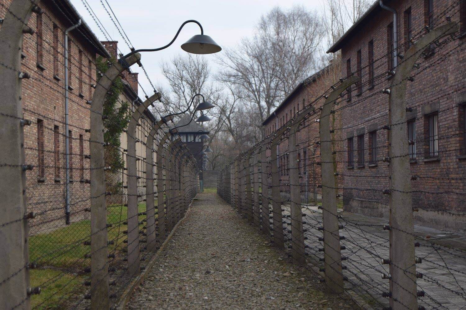 Auschwitz concentration camp, a death camps in Nazi-occupied Poland where 1.1 million were killed during the Nazi Holocaust. (Photo: Tamam Abusalama)