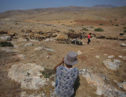 Mohammed Kaabneh,15, grazes sheep near his family's tents in Khirbet Samra in the northern Jordan Valley, on June 30, 2020. His family's lands are threatened with confiscation as part of Israel's annexation of parts of the occupied West Bank. (Photo: Shadi Jarar'ah/APA Images)