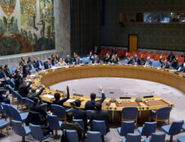 The Security Council votes on a resolution extending the mandate of the United Nations Integrated Peacebuilding Office in Guinea-Bissau on February 28, 2020. (Photo: UN Photo/Loey Felipe)
