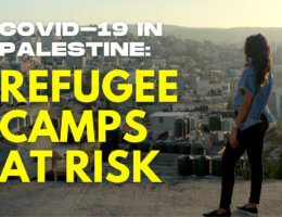COVID-19 in Palestine: Refugee Camps at Risk