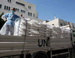 UNRWA employees wearing protective masks and gloves, transport food aid to refugee family homes, amid the coronavirus disease (COVID-19), in Gaza City, on September 15, 2020. (Photo: Mahmoud Ajjour/APA Images)