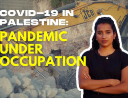 COVID-19 in Palestine: Pandemic under occupation