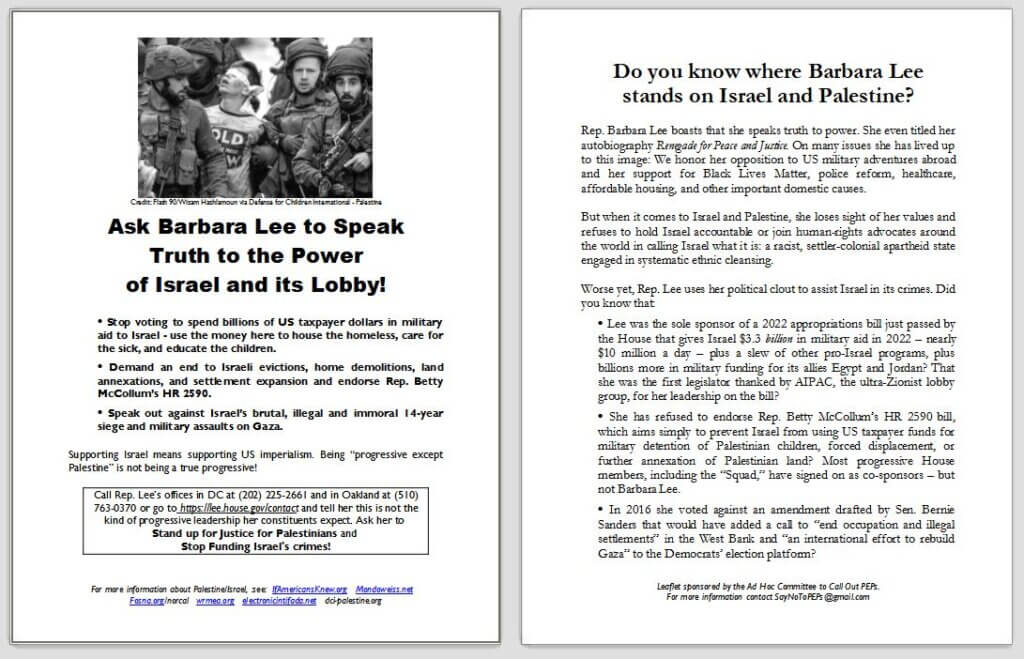 The leaflet we handed out at the preview.