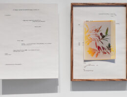 C-prints mounted on paper, 2009-2021. Courtesy of the artist.