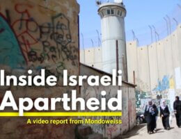 Go inside the Israeli apartheid system to learn how it affects the daily lives of Palestinians.