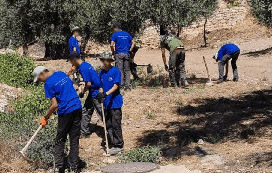 Israeli school children working on land in the Hinnom Valley which Palestinians say is privately owned. (Photo: Emek Shaveh)