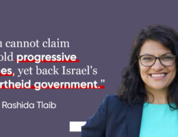 Rashida Tlaib attacked by fellow Democrats for saying progressives shouldn’t back Israeli apartheid (Graphic: IMEU)