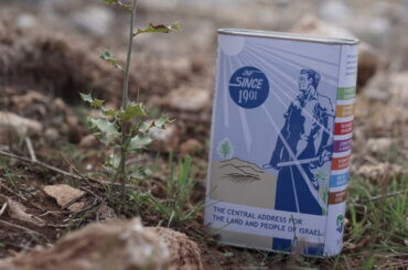 A JNF donation box by a young tree. (Photo: Jewish National Fund-USA)