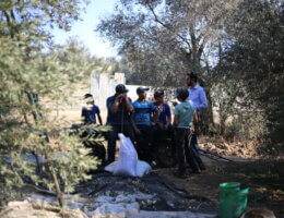 Tareq Hajjaj interviews Palestinian in a Gazan olive grove.