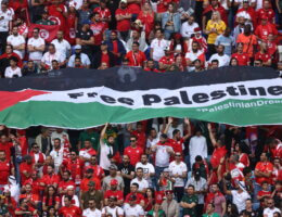 Fans hold a flag of Palestine with "Free Palestine" written on it, during the FIFA World Cup 2022, November 26, 2022 (Photo: James Williamson/ AMA/Getty Images)