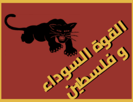 Graphic with the logo of the Black Panther Party that says, “Black power and Palestine” in Arabic.