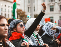Pro-Palestine demonstrators in Washington, D.C., on November 4, 2023. (Photo: © Eman Mohammed)