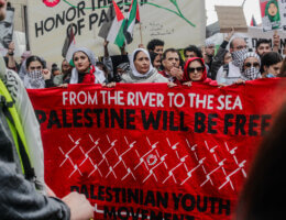 National March on Washington: Free Palestine, November 4, 2023. (Photo: Laura Albast)