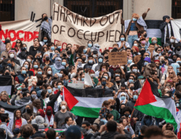 Protesters at Harvard University show their support for Palestinians at a rally in Cambridge, Mass., on Oct. 14. (Photo: Joseph Presiozo /Getty Images)