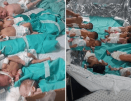 Shifa hospital NICU, as premature babies are grouped together to keep them warm, November 2023 (Photo: Social Media)