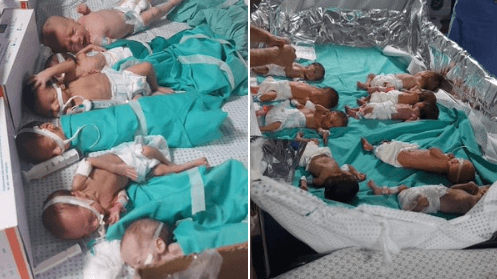 Shifa hospital NICU, as premature babies are grouped together to keep them warm, November 2023 (Photo: Social Media)