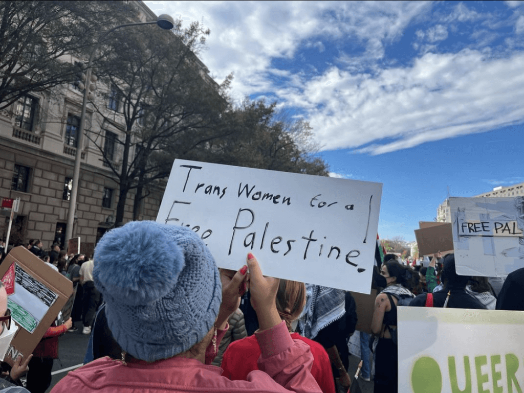 A sign that says “Trans Women for Palestine” being held over someone’s head. (Photo: Steven W. Thrasher)