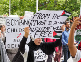 Protesters in Canberra, Australia gather in solidarity with Palestine and call for an immediate ceasefire in Gaza, November 4, 2023. (Photo: Leo Bild/Flickr)
