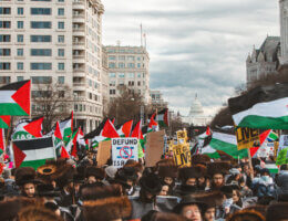 Upwards of 400,000 Pro-Palestine protestors take the streets in a national march in Washington DC to show support for Palestinians and call for a ceasefire and end the genocide in Gaza, January 13, 2024. (Photo: Eman Mohammed)