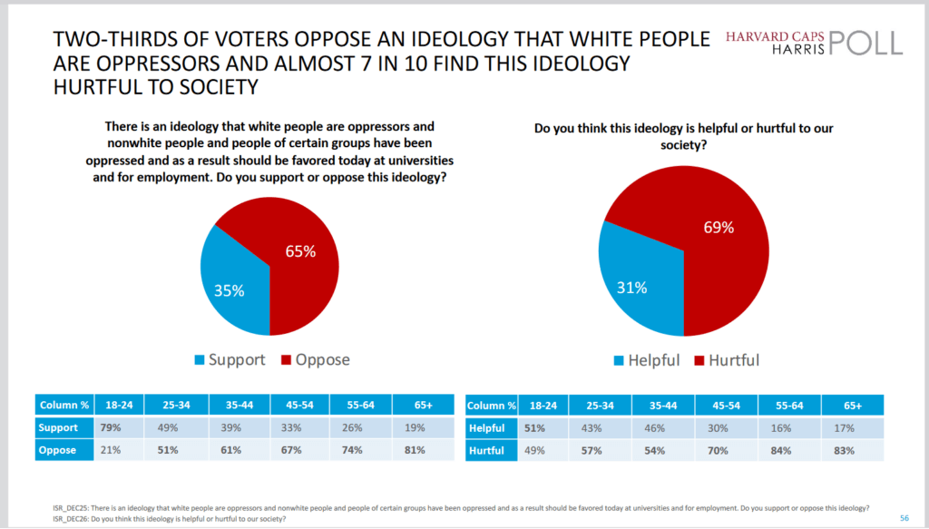 Harvard Harris poll of December 2023 finds generational split on question of whether white people are oppressors.