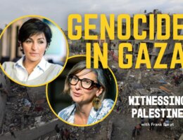 Israel's genocide in Gaza exposes the racism of the international system | Witnessing Palestine