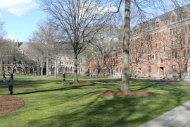 The Old Campus Courtyard of Yale University (Wikimedia)