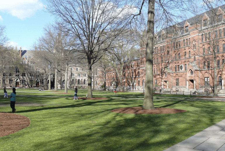 The Old Campus Courtyard of Yale University (Wikimedia)