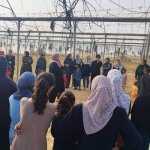 Gaza Community Mental Health Program staff providing psychological support to displaced children, women, elderly people, and people with special needs in evacuation camps in Deir Al-Balah and Rafah, in April 2024. (Photo: Gaza Community Mental Health Program/Facebook)