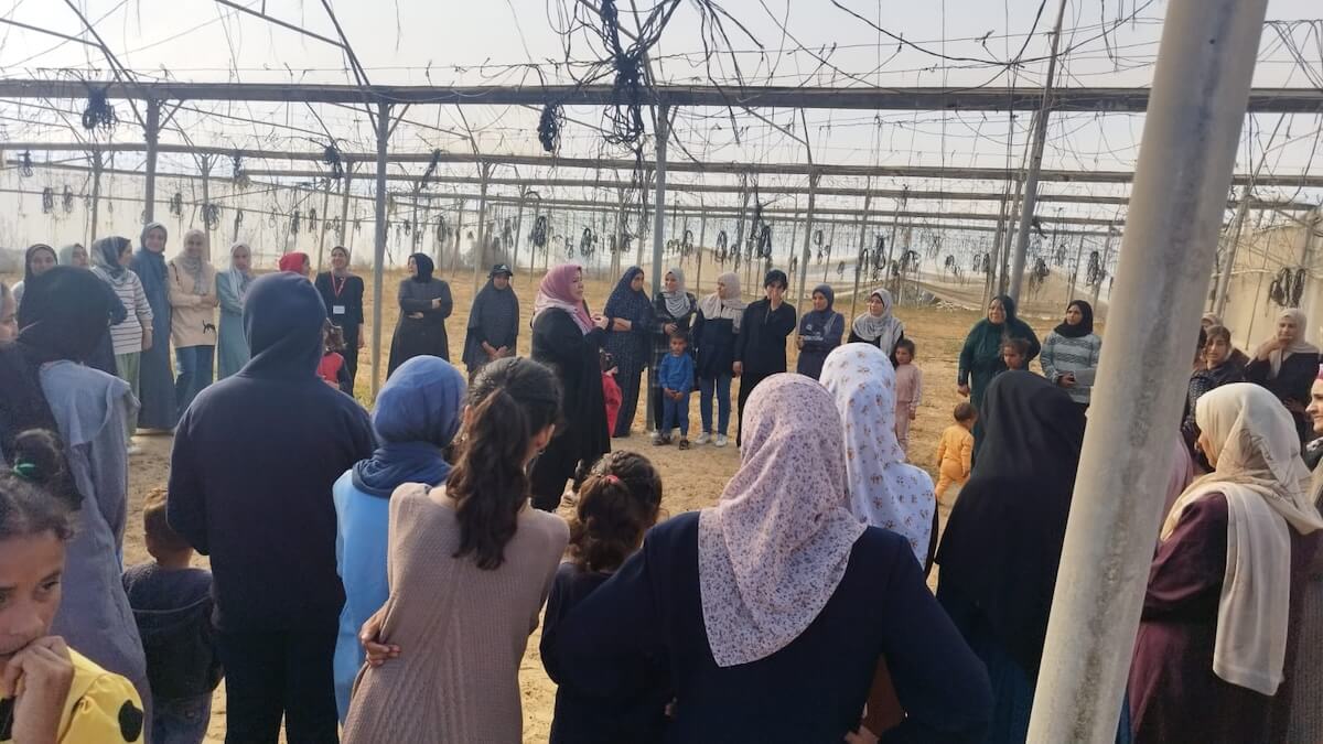 After the Rape: The challenges of monitoring sexual violence in Gaza
