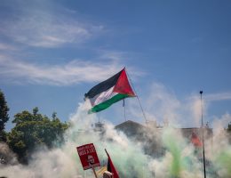 The People's Red Line march against genocide in Gaza in front of the White House in Washington D.C., on June 8, 2024 (Photo: Aseel Kabariti)