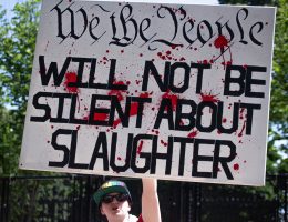 Red line march in Washington D.C., on June 8, 2024 (Photo: Laura Albast)