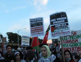 Pro-Palestinian protesters in Brooklyn, NY on July 2, 2020. (Photo: Joe Catron/Flickr)