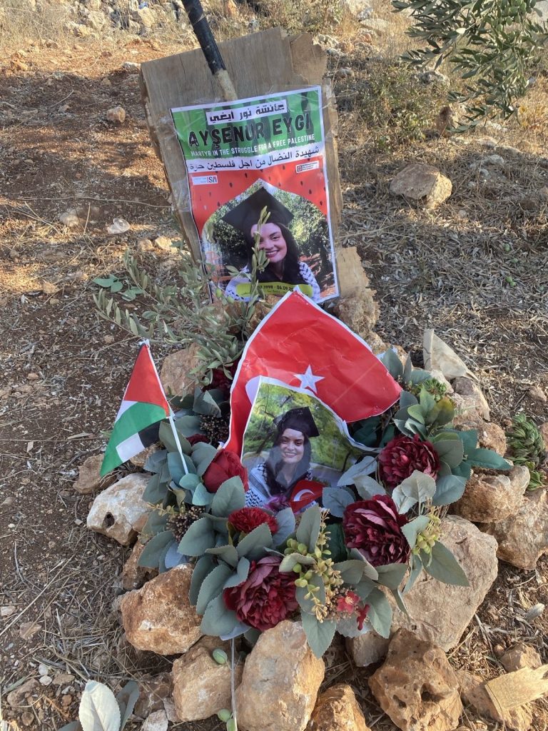 The spot where Ayşenur Ezgi Eygi was martyred in Beita, Palestine