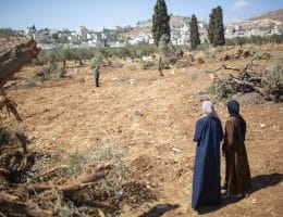 Palestinian residents of al-Mughayyer inspect damage caused by the three-day Israeli siege on the village, August 25, 2025. (Photo: Anne Paq/Activestills)