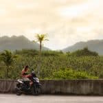 The Coconut Trees View Deck in Siargao, Philippines in April 2023. (Photo: Michael Angelo Luna/Wikimedia)