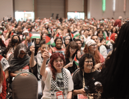 (People's Conference for Palestine)