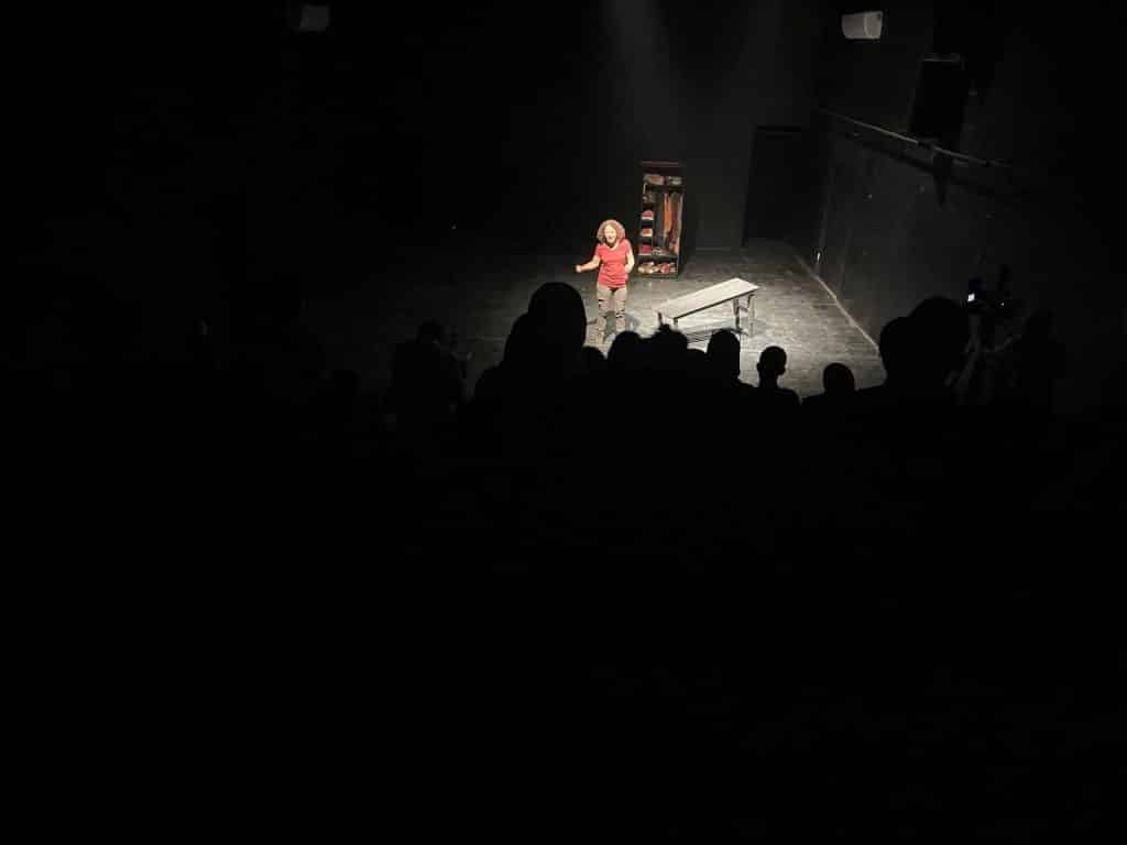 A photo from the performance of the play, "Danteel," on the stage of the Freedom Theater, September 19, 2023. (Photo: Jenin Freedom Theater)