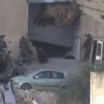 Screenshot from the Palestine TV video depicting Israeli soldiers executing two Palestinians who had surrendered themselves to the army, November 27, 2025. (Photo: Screenshot/Social Media)Screenshot from the Palestine TV video depicting Israeli soldiers executing two Palestinians who had surrendered themselves to the army, November 27, 2025. (Photo: Screenshot/Social Media)