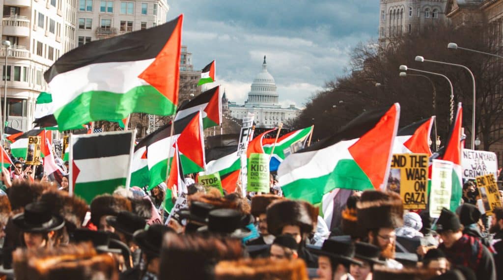 FILE: Pro-Palestine protesters march in Washington, DC to call for a ceasefire and end the genocide in Gaza in January 2024. (Photo: Eman Mohammed)