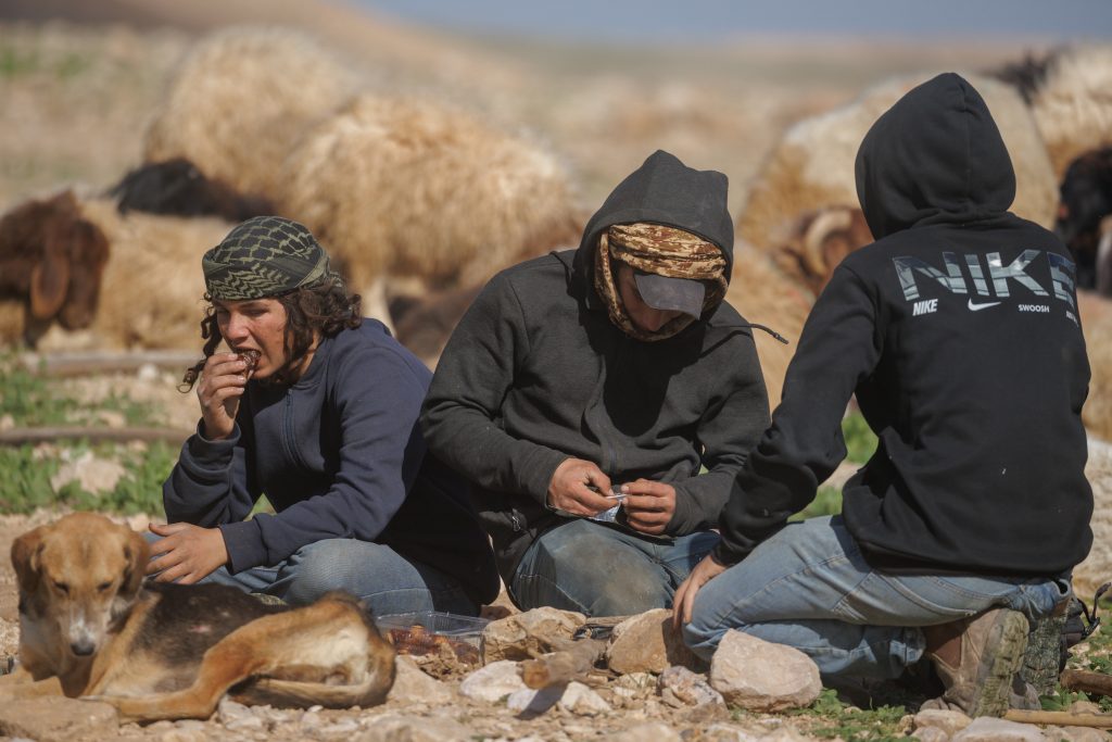 Colonos israelíes desalojan por la fuerza a residentes beduinos palestinos de Ras Ain al-Auja de sus hogares, enero de 2026. (Foto: Wahaj Bani Moufleh)