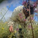 Palestinian farmer Eyad Yousef in the village of Taybeh, east of Ramallah, April 2026. (Photo: Qassam Muaddi/Mondoweiss)
