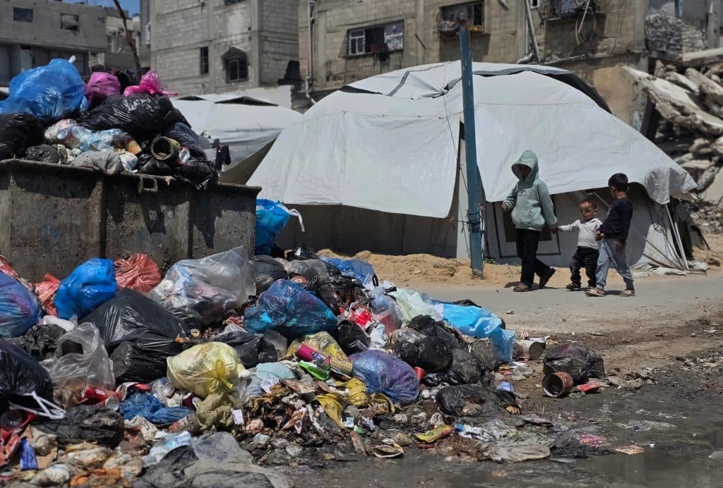 Displaced Palestinians face a major infestation of rodents. (Photo: Tariq Mohammad/APA Images)