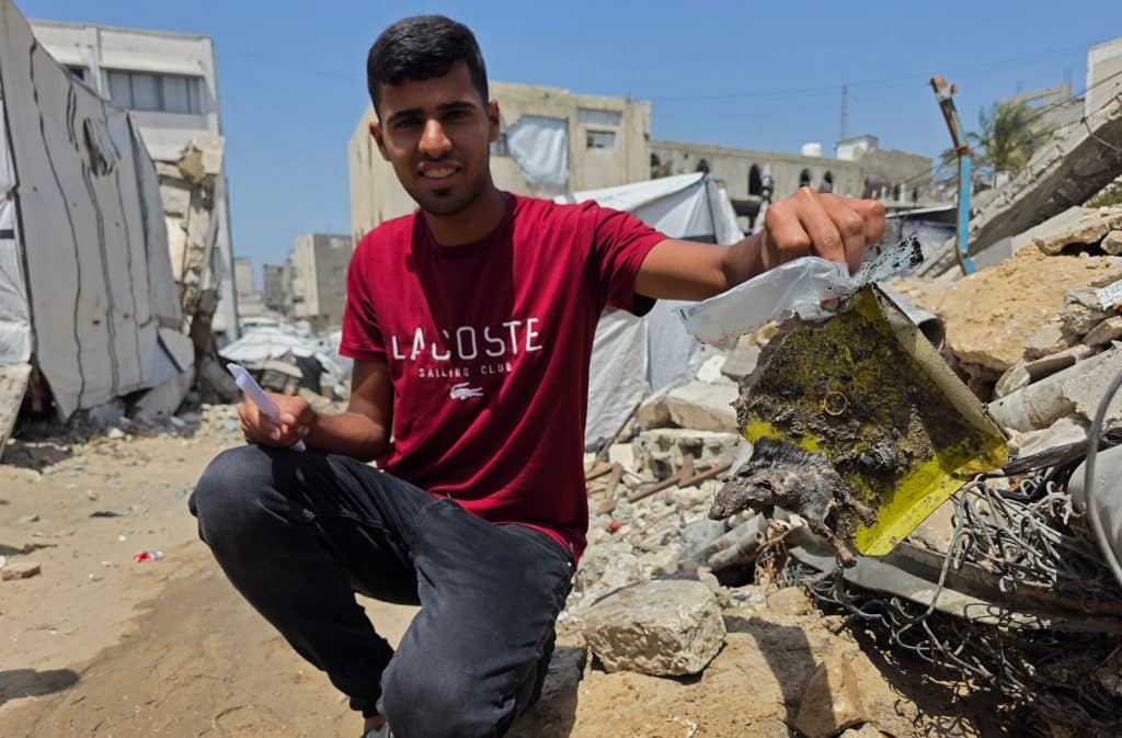 Displaced Palestinians face a major infestation of rodents. (Photo: Tariq Mohammad/APA Images)